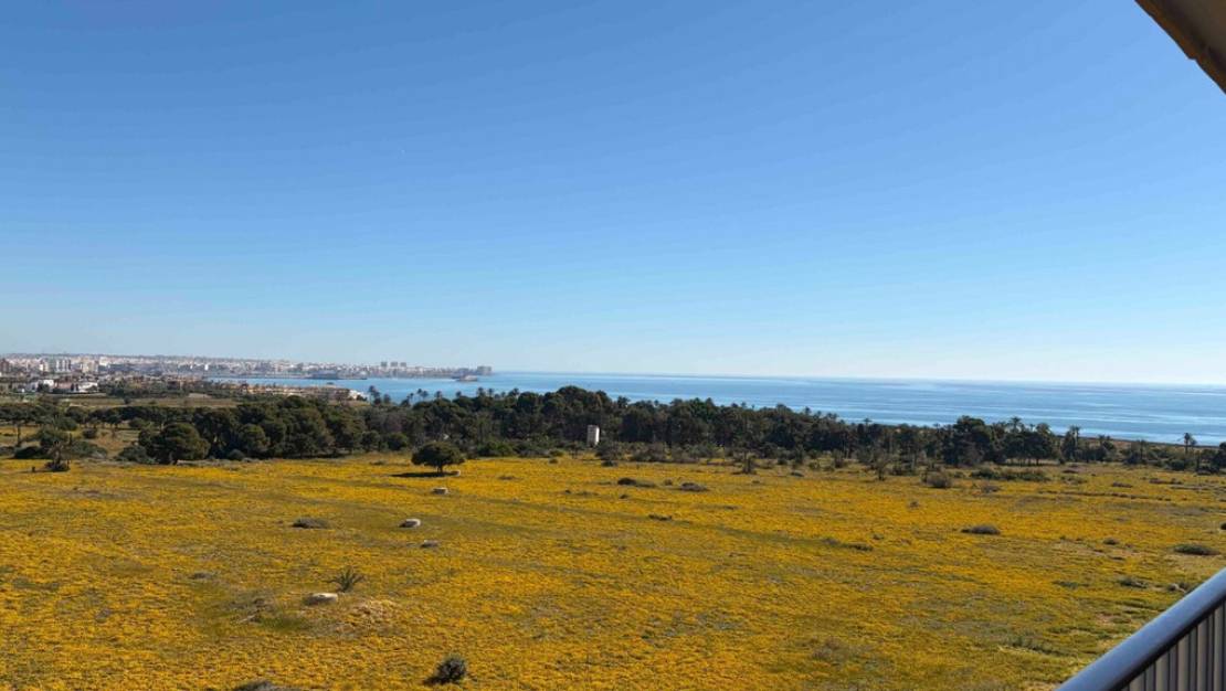 Sale - Apartment - Orihuela - Punta Prima