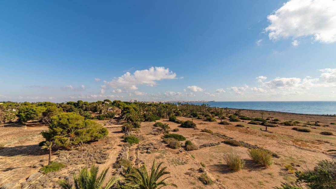 Sale - Apartment - Orihuela - Punta Prima