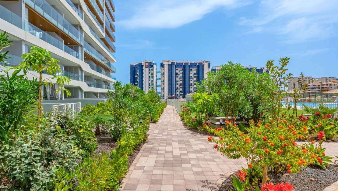 Sale - Apartment - Orihuela - Punta Prima