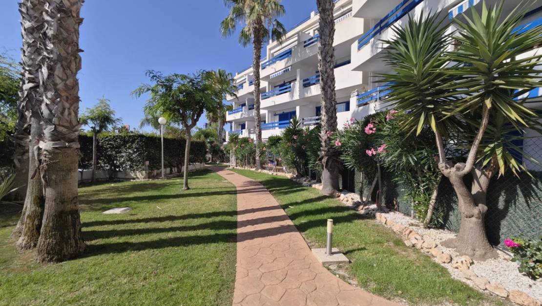Sale - Apartment - Orihuela - Punta Prima