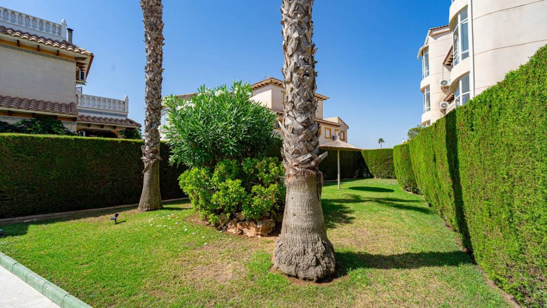 Sale - Apartment - Orihuela - Punta Prima