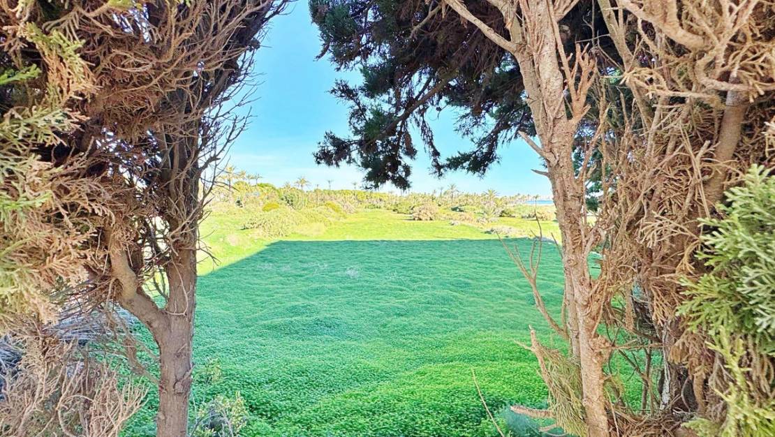 Sale - Apartment - Orihuela - Rocio del Mar