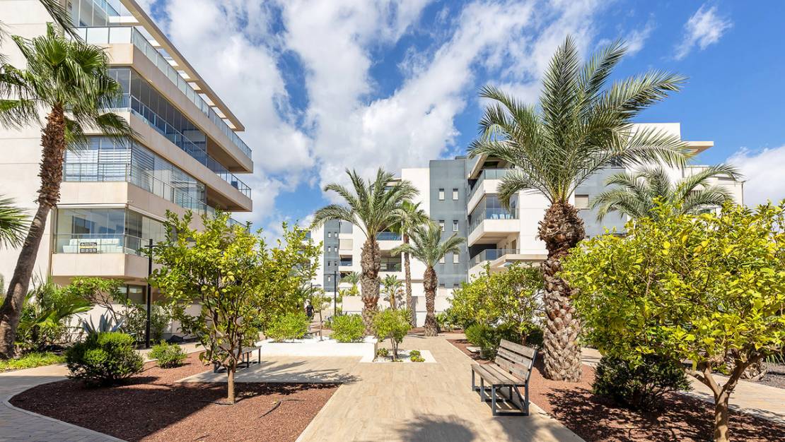 Sale - Apartment - Orihuela - Villamartin