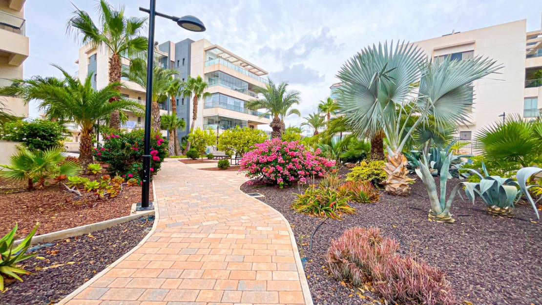 Sale - Apartment - Orihuela - Villamartin