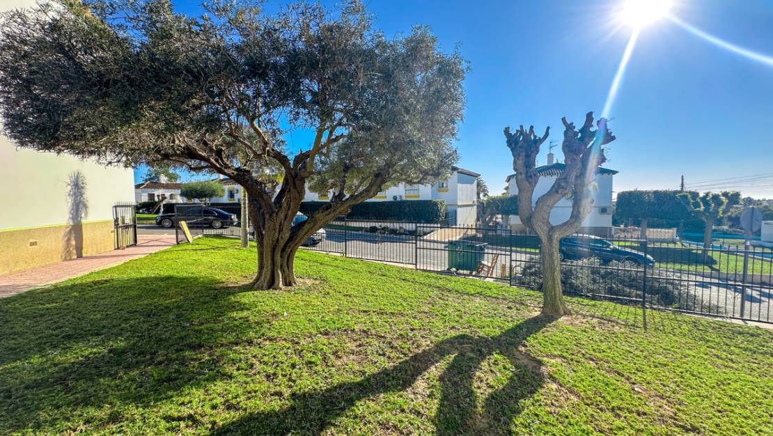 Sale - Apartment - Orihuela - Villamartin