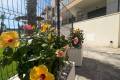 Sale - Apartment - Orihuela - Villamartin