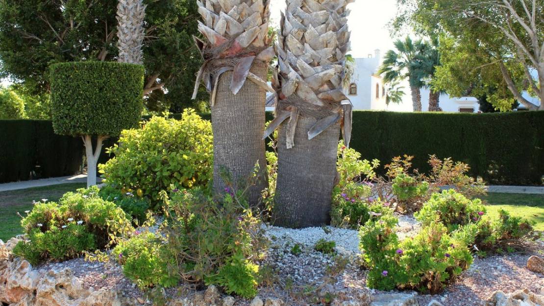Sale - Apartment - Orihuela - Villamartin