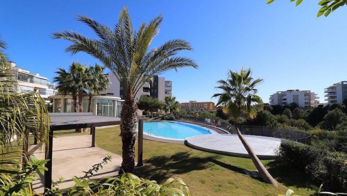 Sale - Apartment - Orihuela - Villamartin