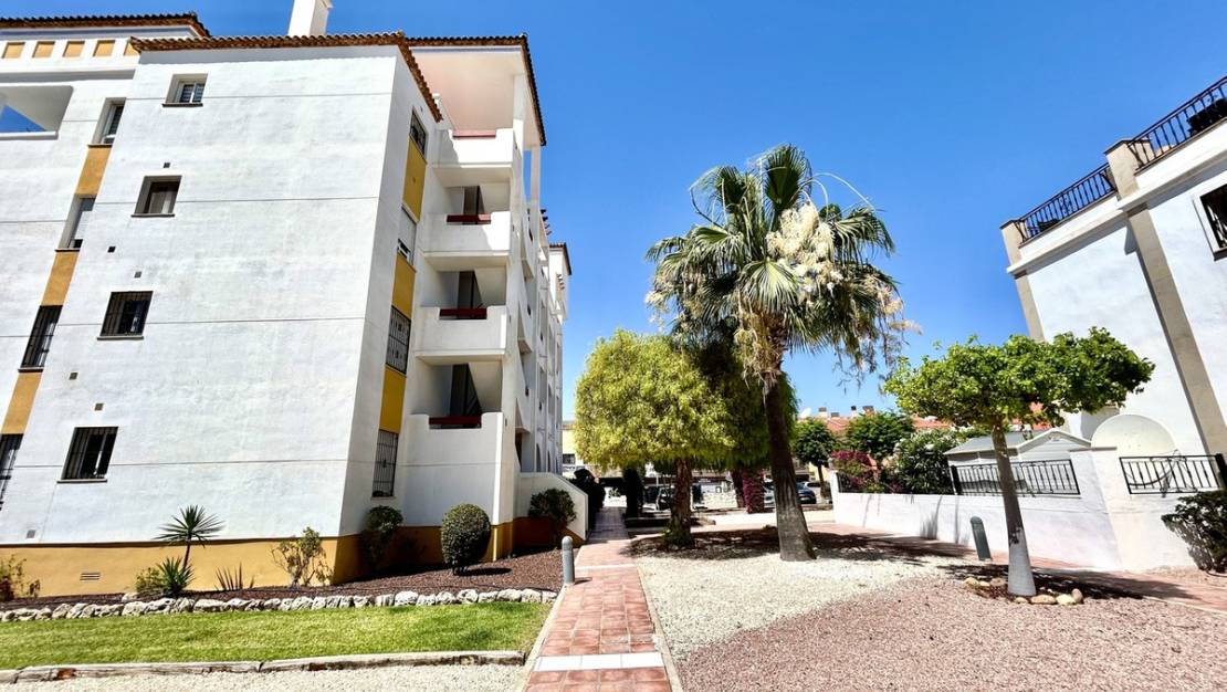 Sale - Apartment - Orihuela - Villamartin
