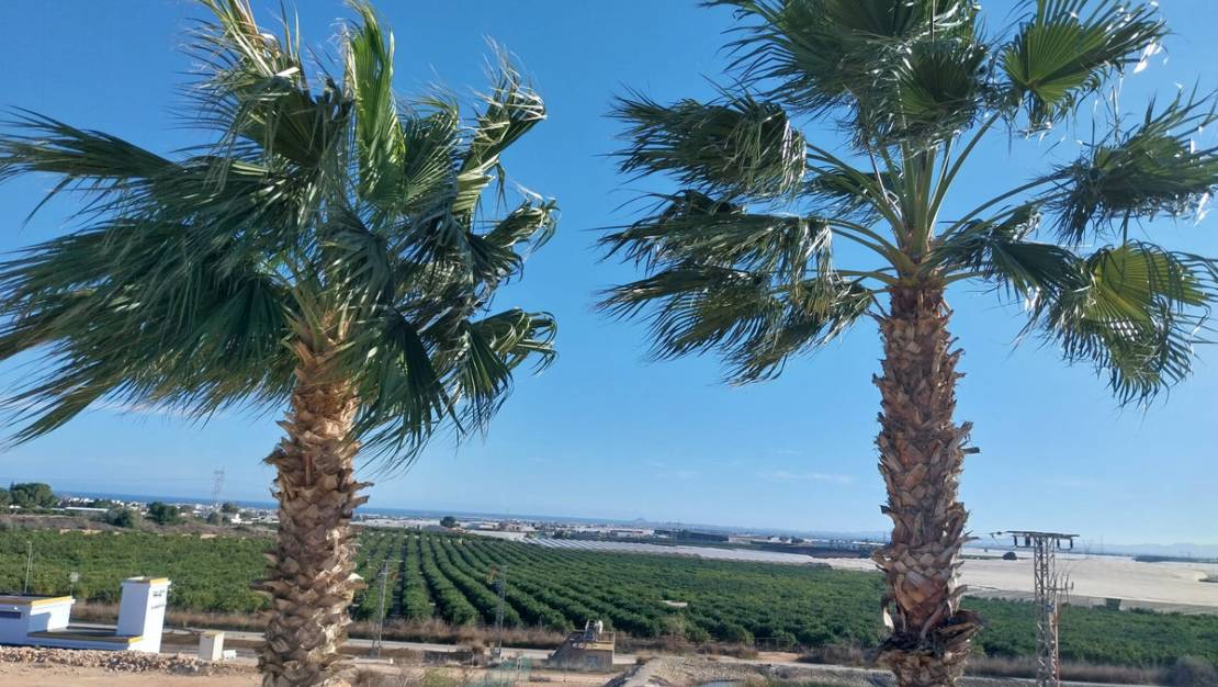 Sale - Apartment - Pilar de la Horadada - Pilar de la Horadada Centro