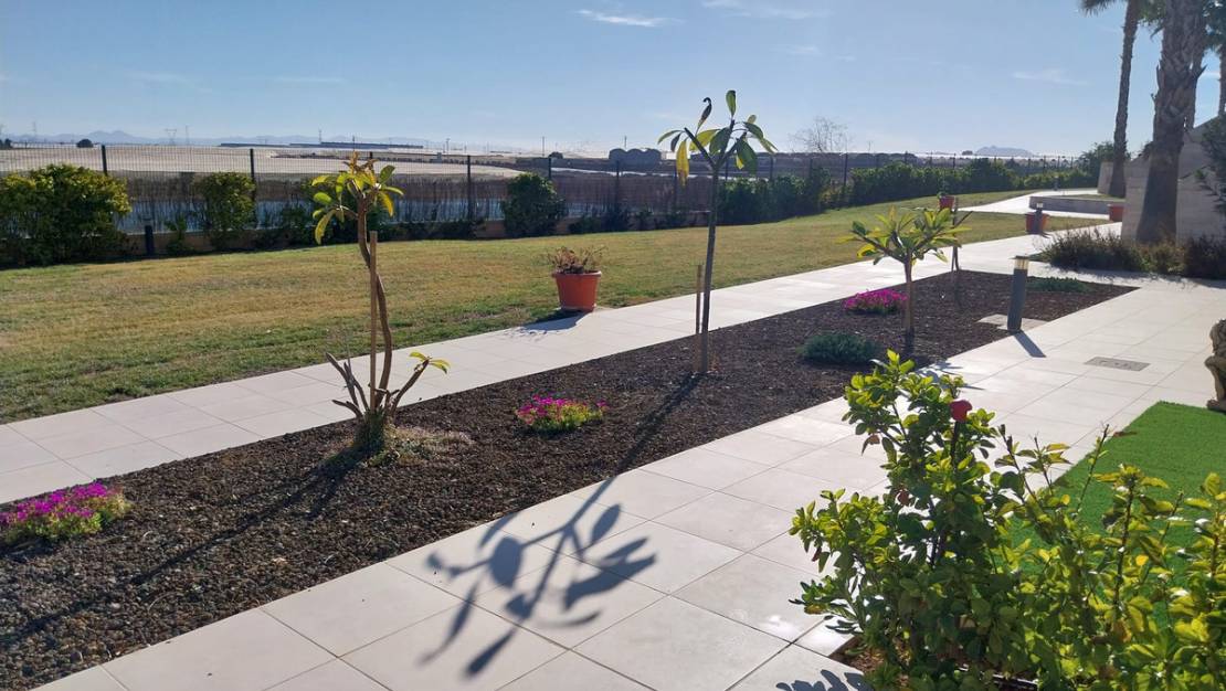 Sale - Apartment - Pilar de la Horadada - Pilar de la Horadada Centro