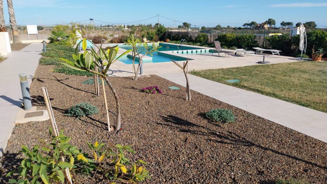 Sale - Apartment - Pilar de la Horadada - Pilar de la Horadada Centro