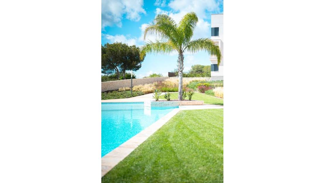 Sale - Apartment - Pilar de la Horadada - Pilar de la Horadada Centro