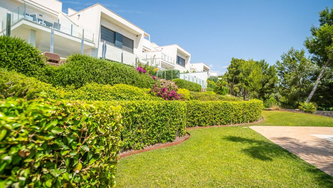 Sale - Apartment - Pilar de la Horadada - Pilar de la Horadada Centro