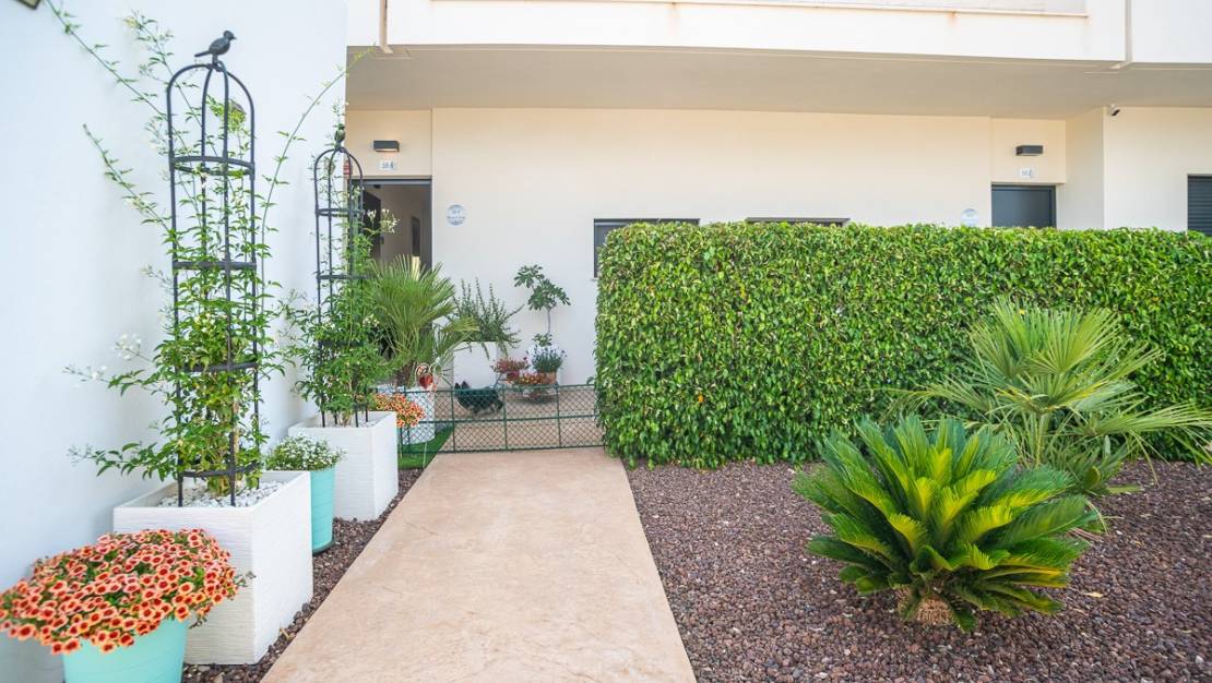 Sale - Apartment - Pilar de la Horadada - Pilar de la Horadada Centro