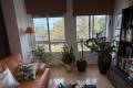 Sale - Apartment - Pilar de la Horadada - Pilar de la Horadada Centro