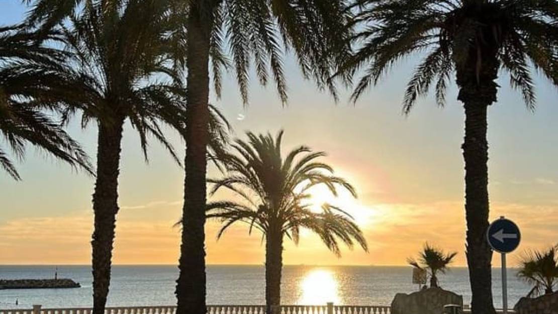 Sale - Apartment - Pilar de la Horadada - Torre de la Horadada