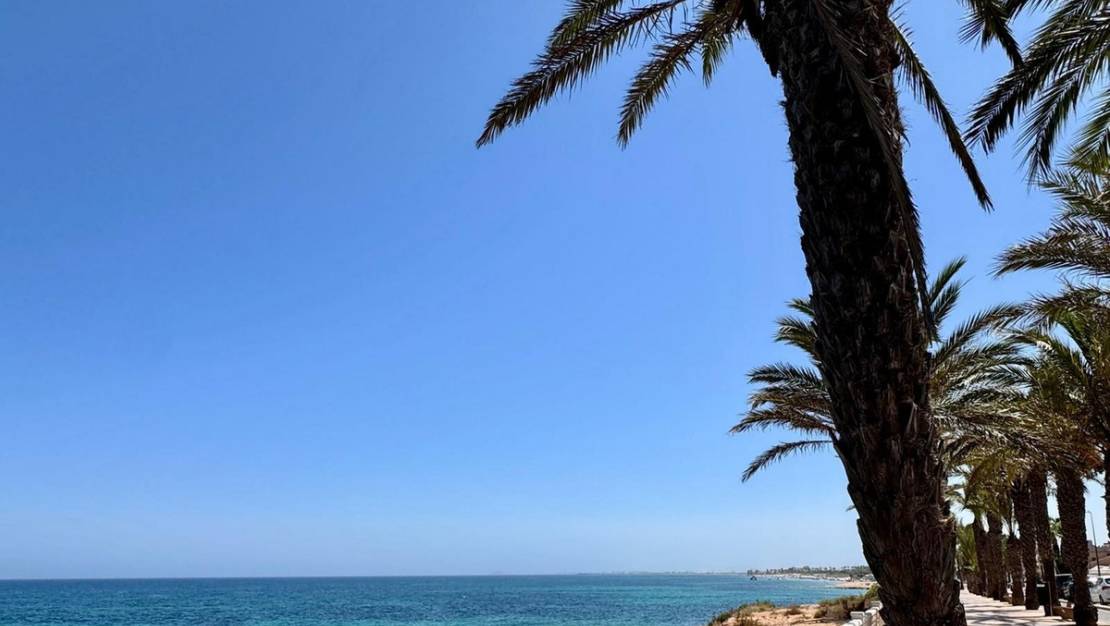 Sale - Apartment - Pilar de la Horadada - Torre de la Horadada