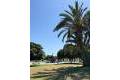 Sale - Apartment - Pilar de la Horadada - Torre de la Horadada