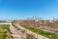 Sale - Apartment - Pilar de la Horadada