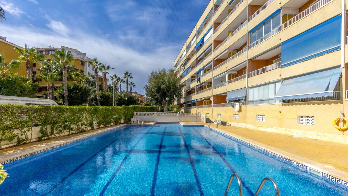 Sale - Apartment - Punta Prima - El Acequión