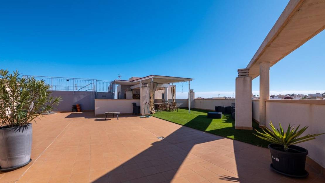 Sale - Apartment - San Miguel de Salinas - Pueblo 9