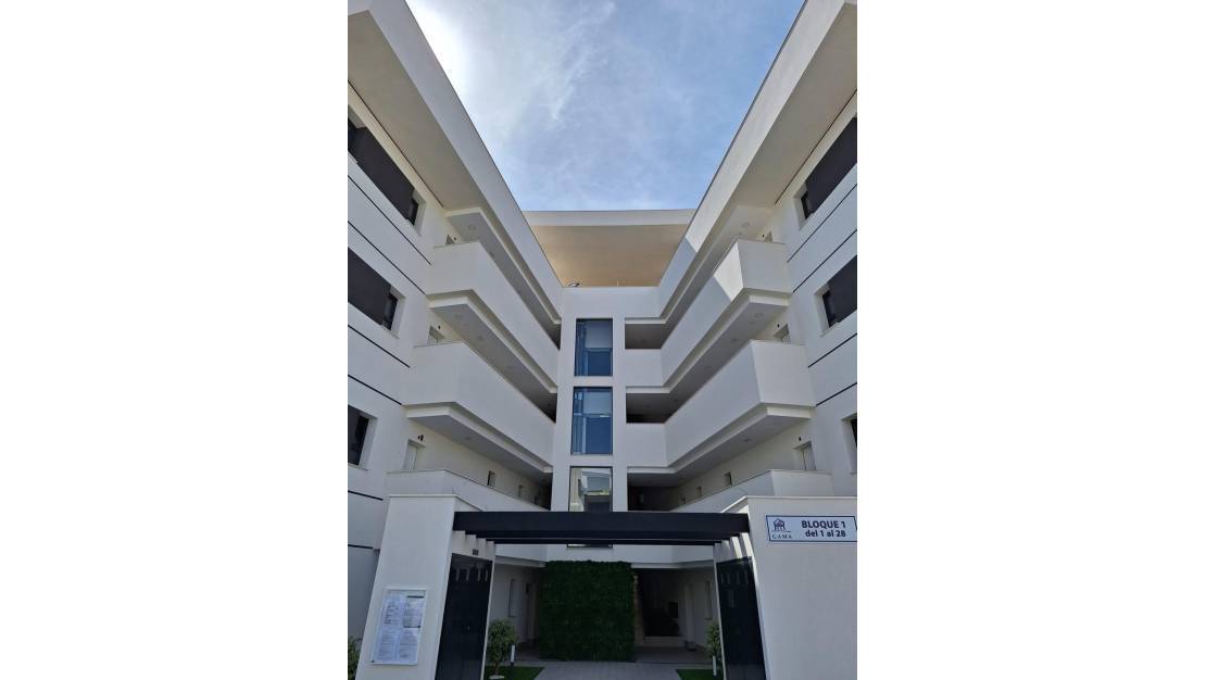 Sale - Apartment - San Miguel de Salinas - San Miguel de Salinas Centro