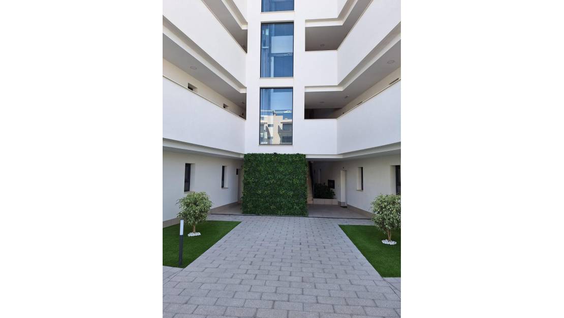 Sale - Apartment - San Miguel de Salinas - San Miguel de Salinas Centro