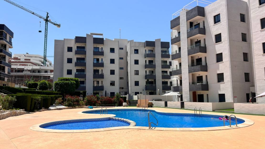 Sale - Apartment - San Miguel de Salinas - San Miguel de Salinas Centro