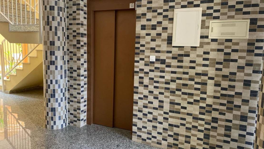 Sale - Apartment - San Miguel de Salinas - San Miguel de Salinas Centro