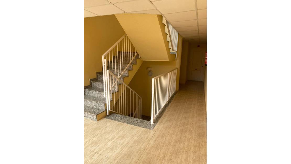 Sale - Apartment - San Miguel de Salinas - San Miguel de Salinas Centro