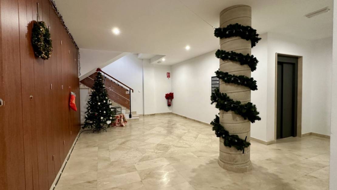 Sale - Apartment - San Miguel de Salinas - San Miguel de Salinas Centro