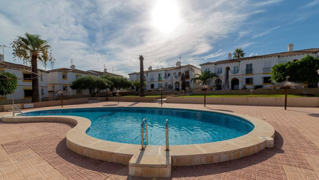 Sale - Apartment - San Miguel de Salinas - San Miguel de Salinas Centro