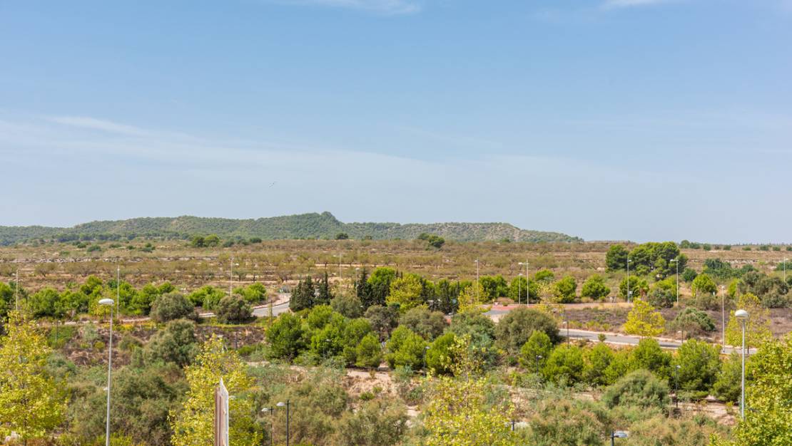 Sale - Apartment - San Miguel de Salinas - San Miguel de Salinas Centro