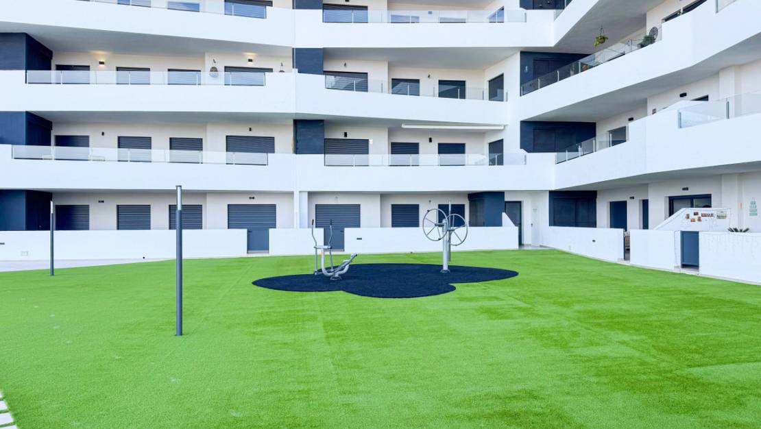 Sale - Apartment - San Miguel de Salinas - San Miguel de Salinas Centro