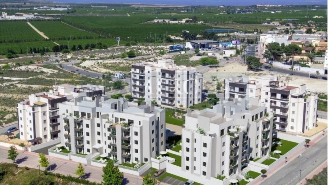 Sale - Apartment - San Miguel de Salinas - San Miguel de Salinas Centro