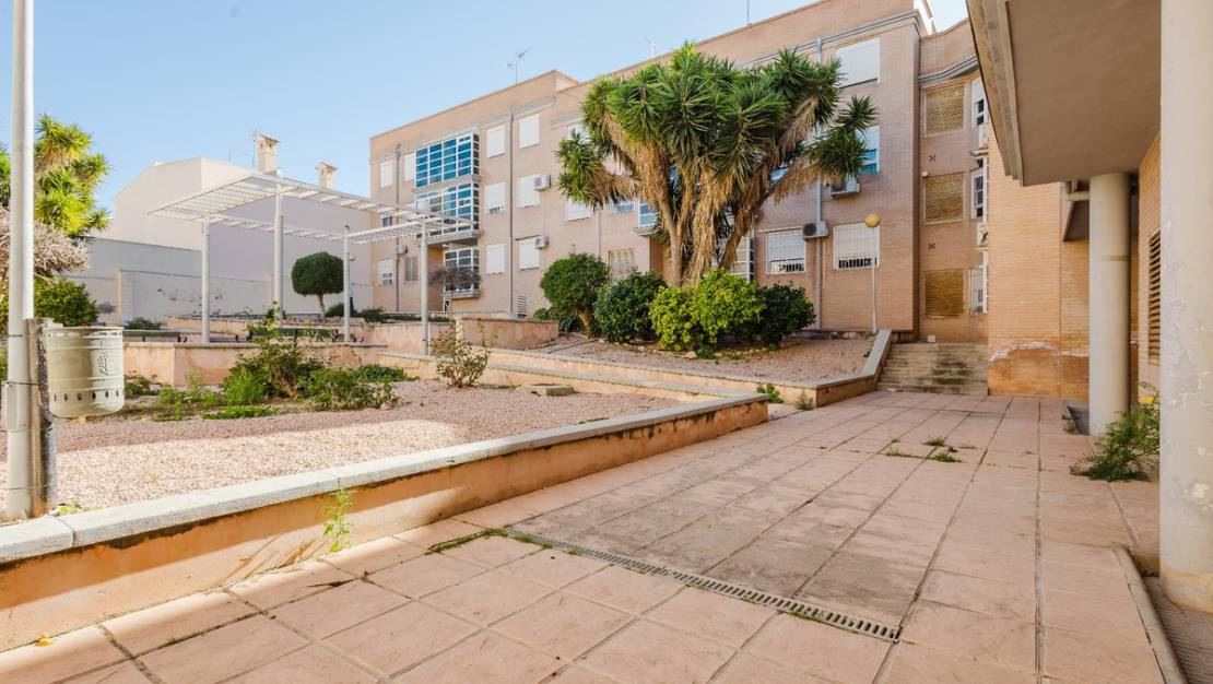 Sale - Apartment - San Miguel de Salinas - San Miguel de Salinas Centro