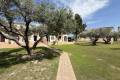 Sale - Apartment - San Miguel de Salinas - San Miguel de Salinas Centro