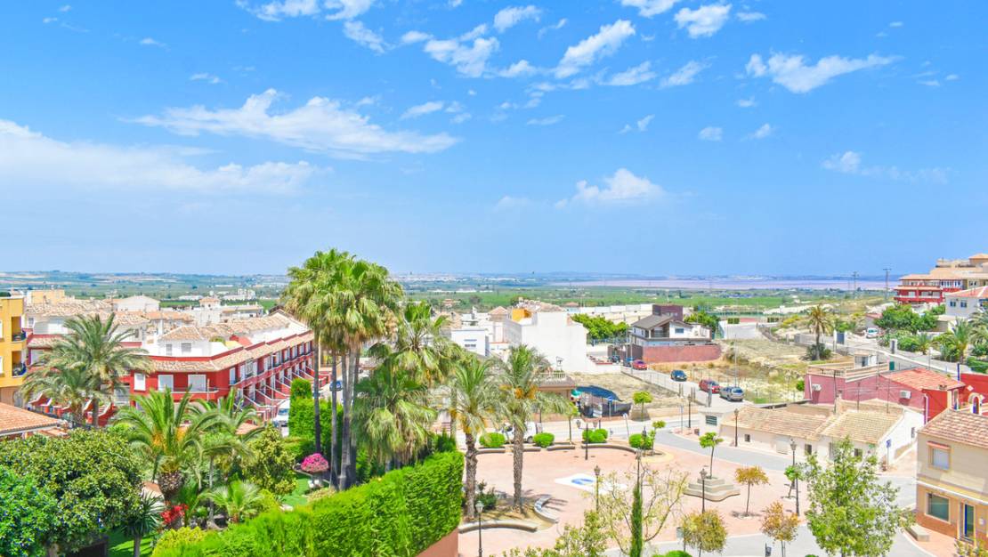 Sale - Apartment - San Miguel de Salinas - San Miguel de Salinas Centro