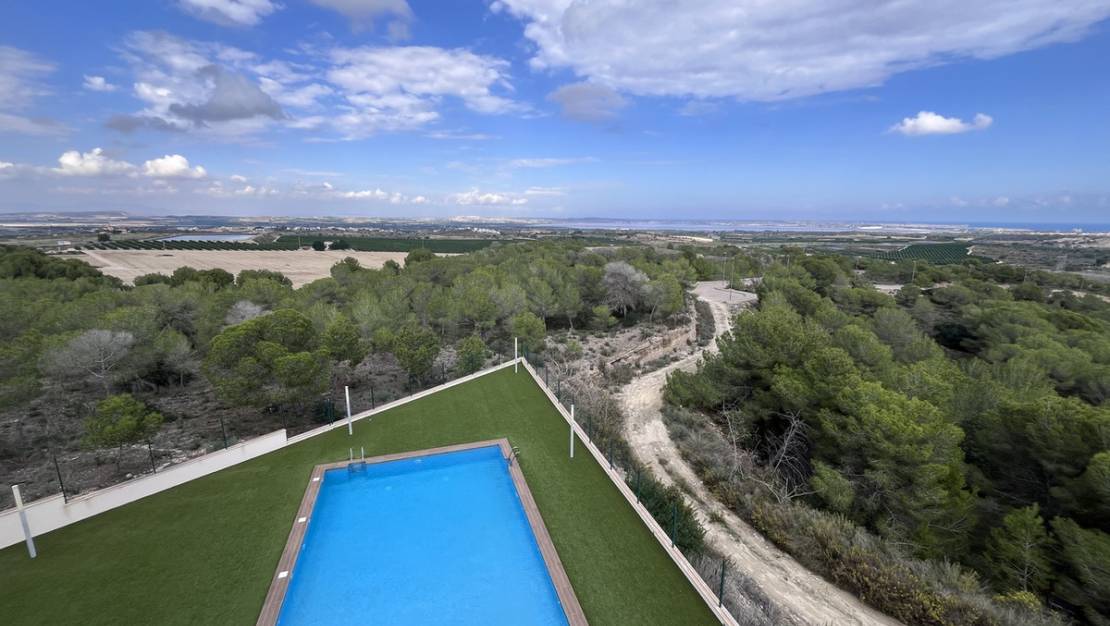 Sale - Apartment - San Miguel de Salinas - San Miguel de Salinas Centro