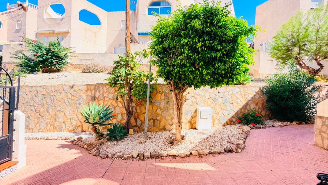 Sale - Apartment - San Miguel de Salinas - San Miguel de Salinas Centro