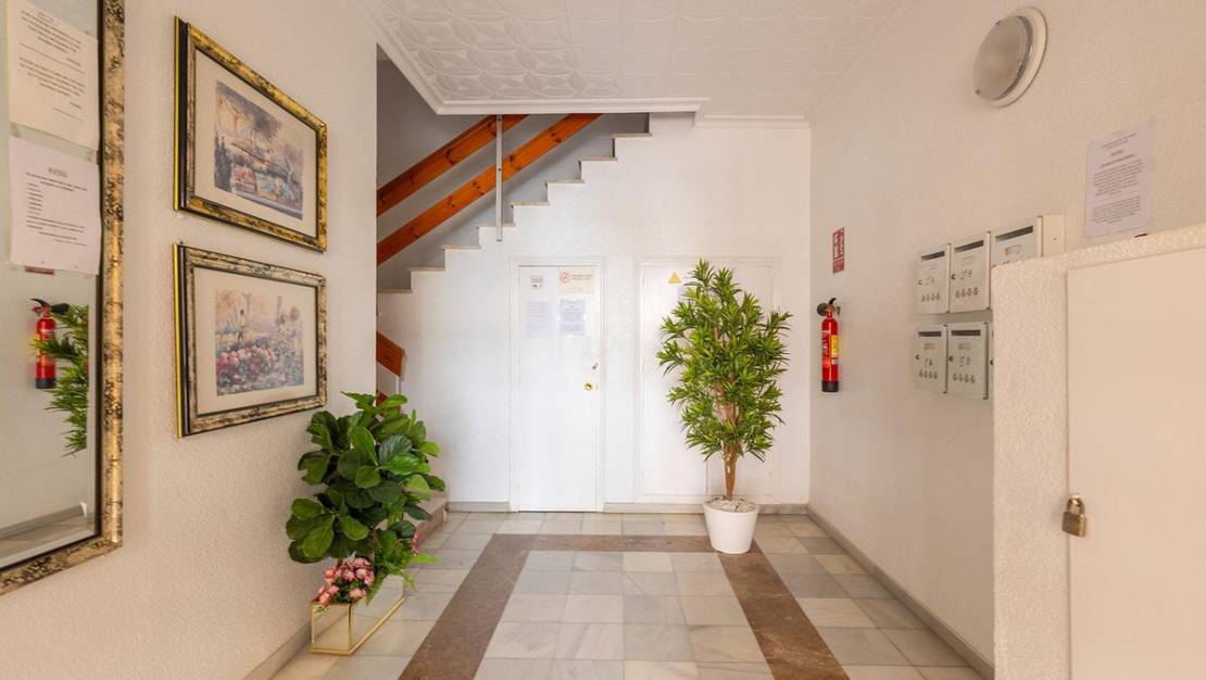 Sale - Apartment - San Miguel de Salinas - San Miguel de Salinas Centro