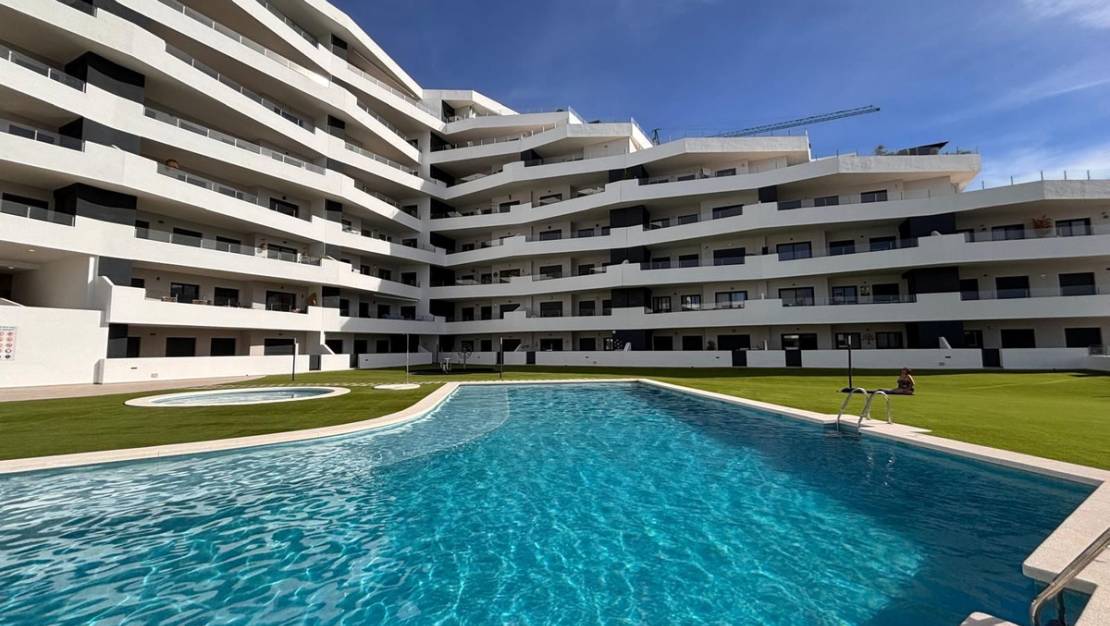 Sale - Apartment - San Miguel de Salinas - san miguel