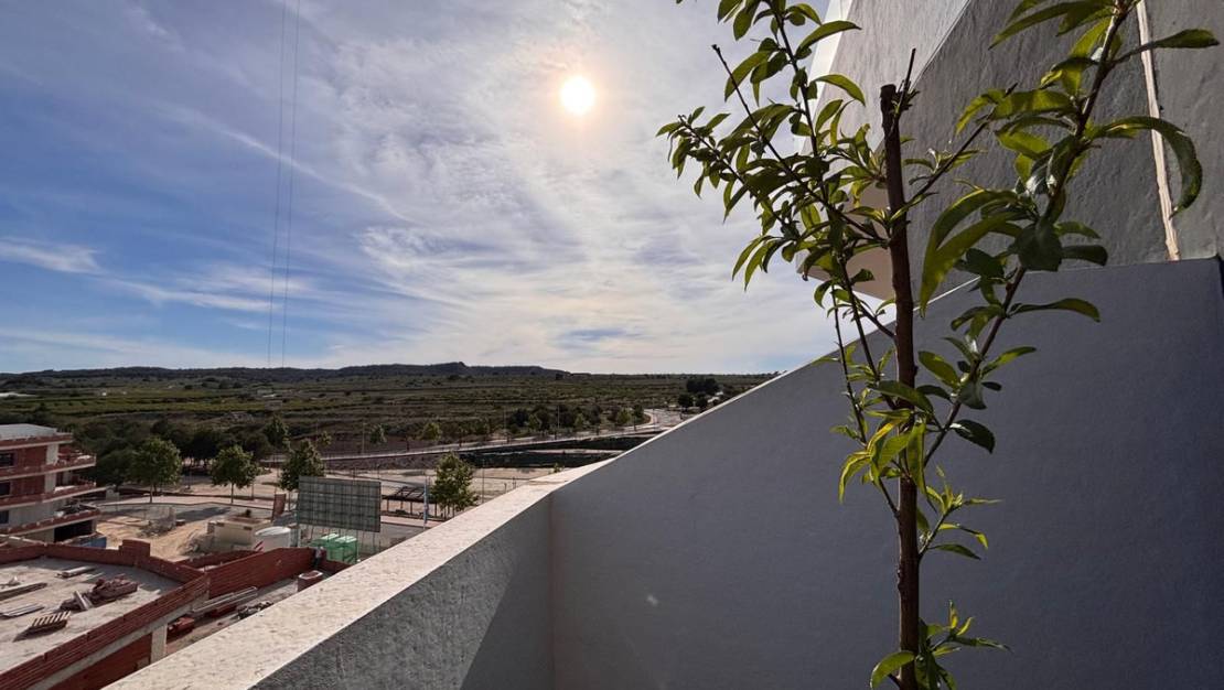 Sale - Apartment - San Miguel de Salinas - san miguel
