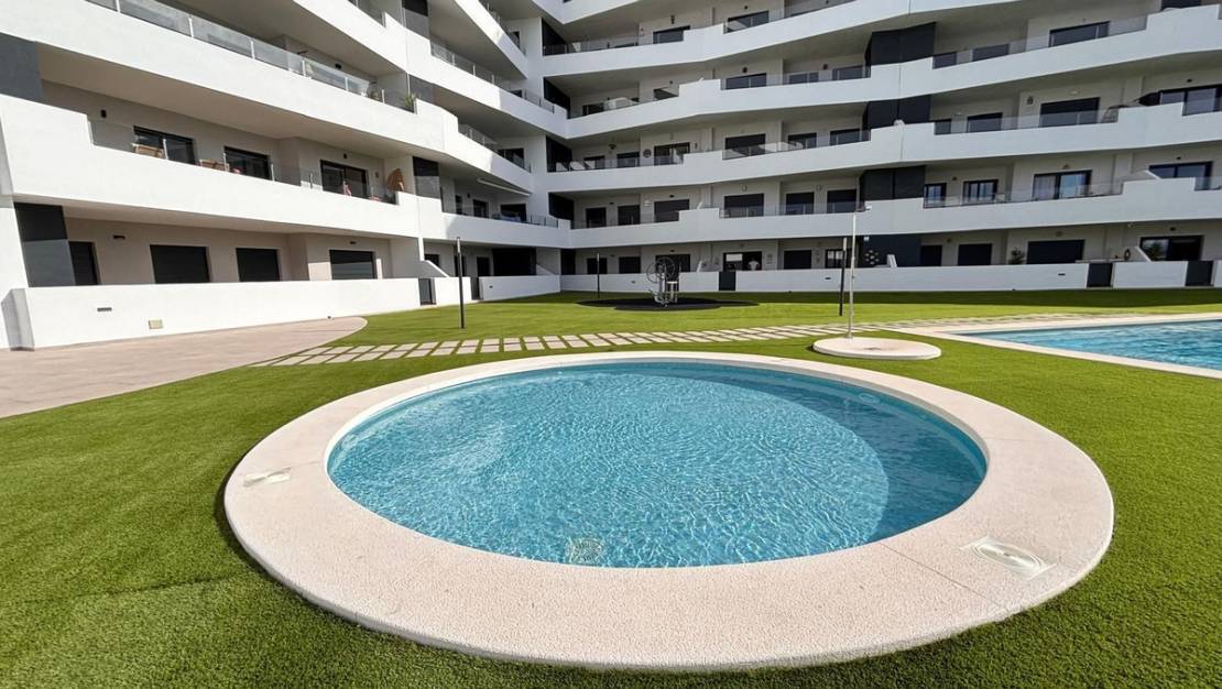 Sale - Apartment - San Miguel de Salinas - san miguel