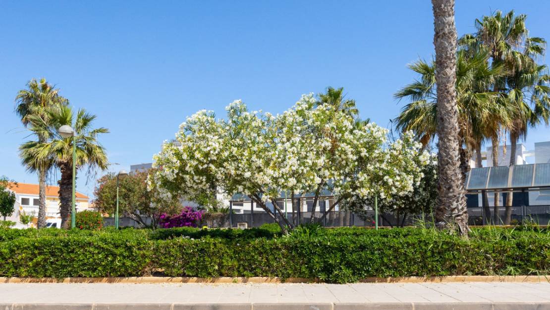 Sale - Apartment - San Pedro del Pinatar - El Mojon