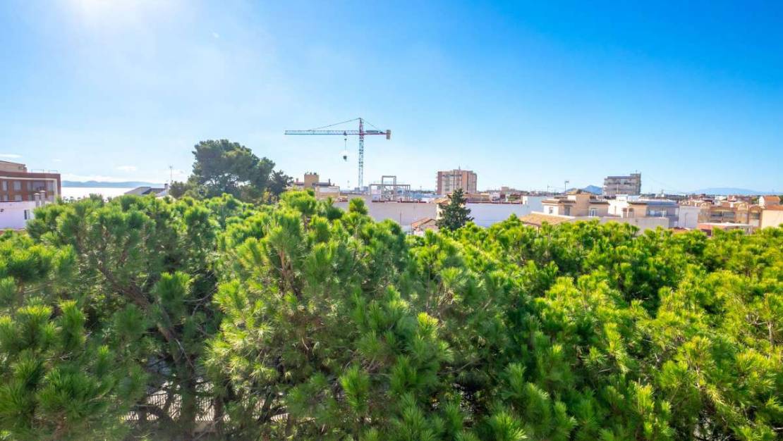 Sale - Apartment - San Pedro del Pinatar - Lo Pagan