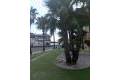 Sale - Apartment - San Pedro del Pinatar - Lo Pagan