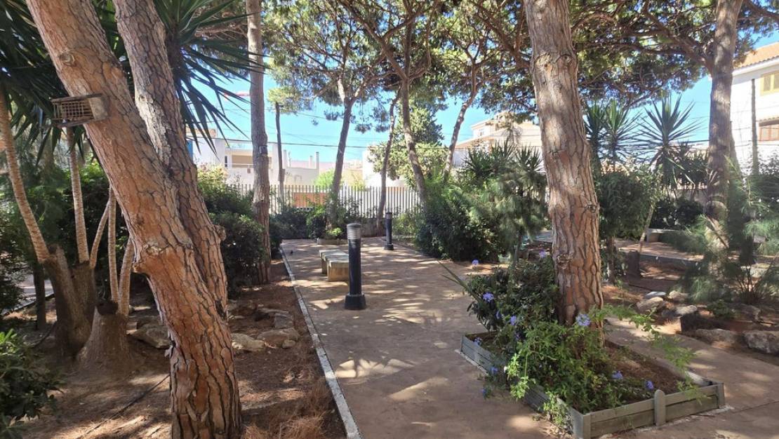 Sale - Apartment - San Pedro del Pinatar - San Pedro del Pinatar Centro