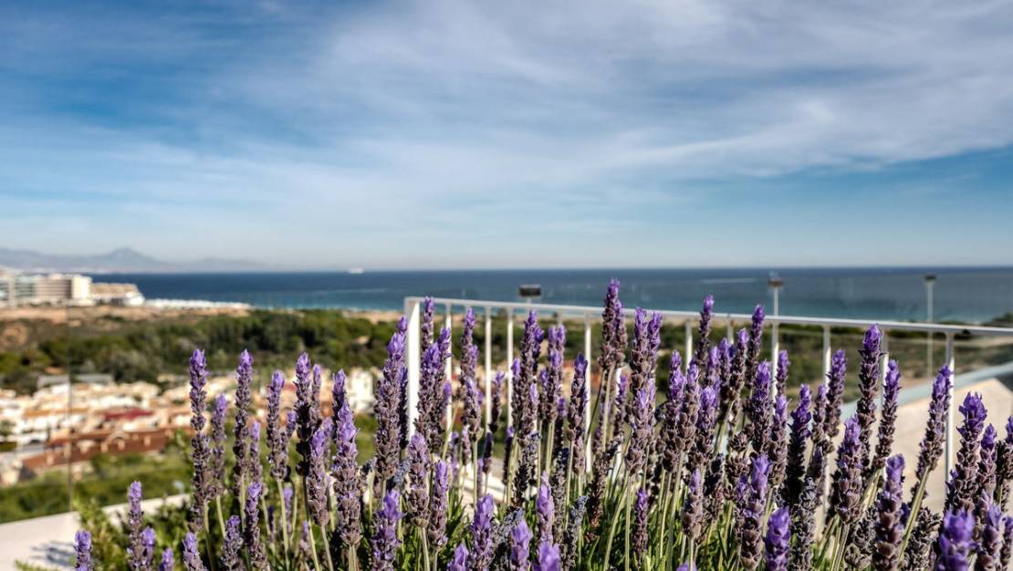 Sale - Apartment - Santa Pola - Gran Alacant